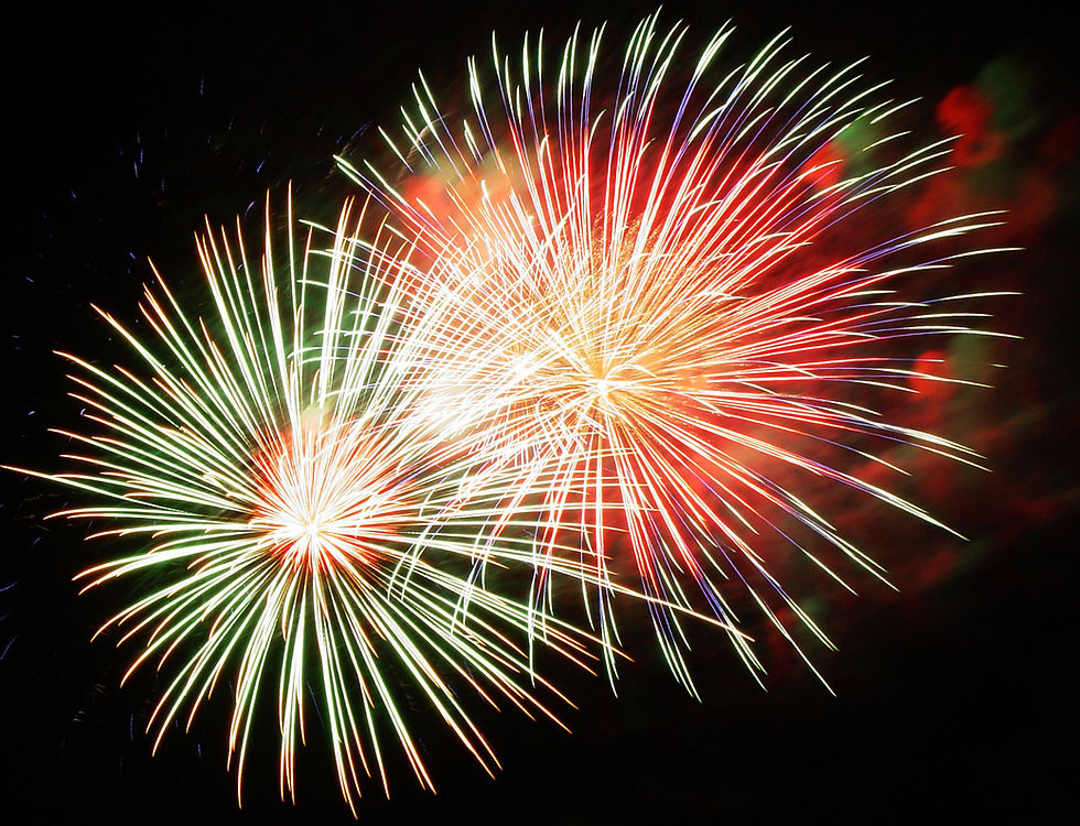 Start Your Dog's New Year Off Right